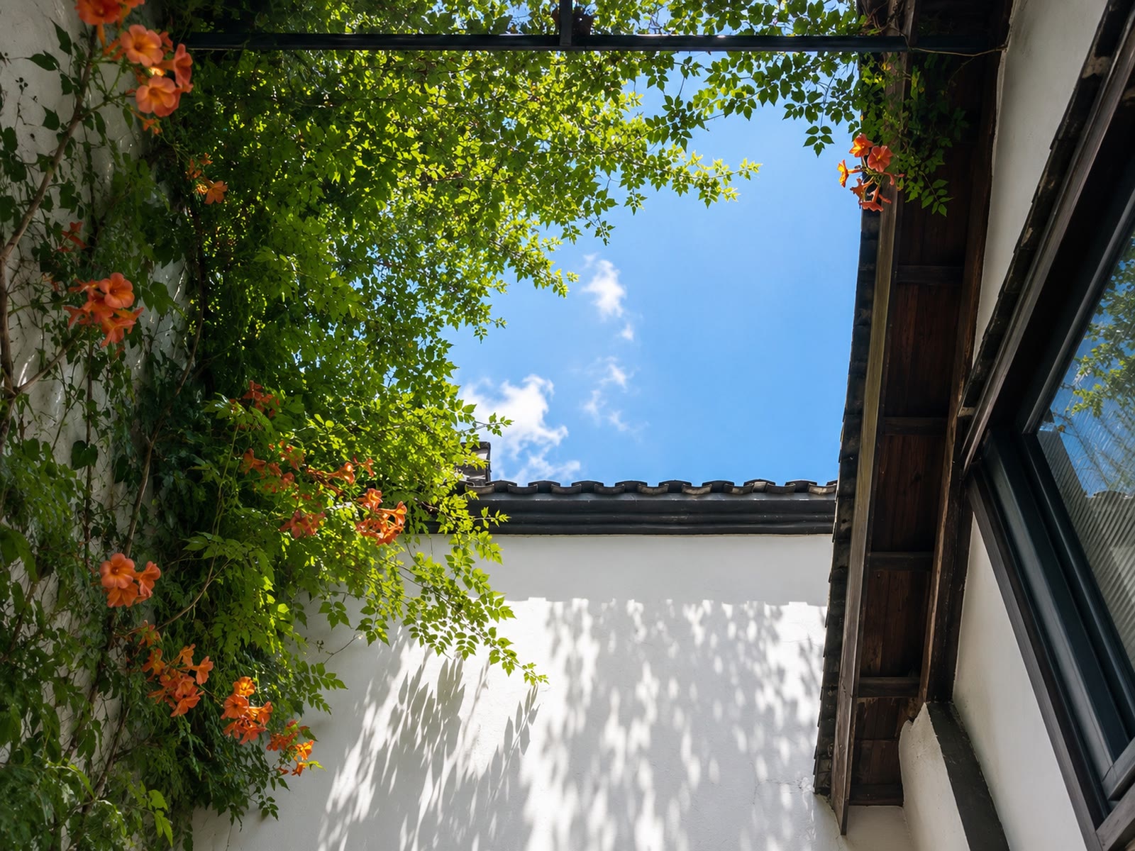 Skylight Courtyard Twin Room: Open skylight with flowers and sky